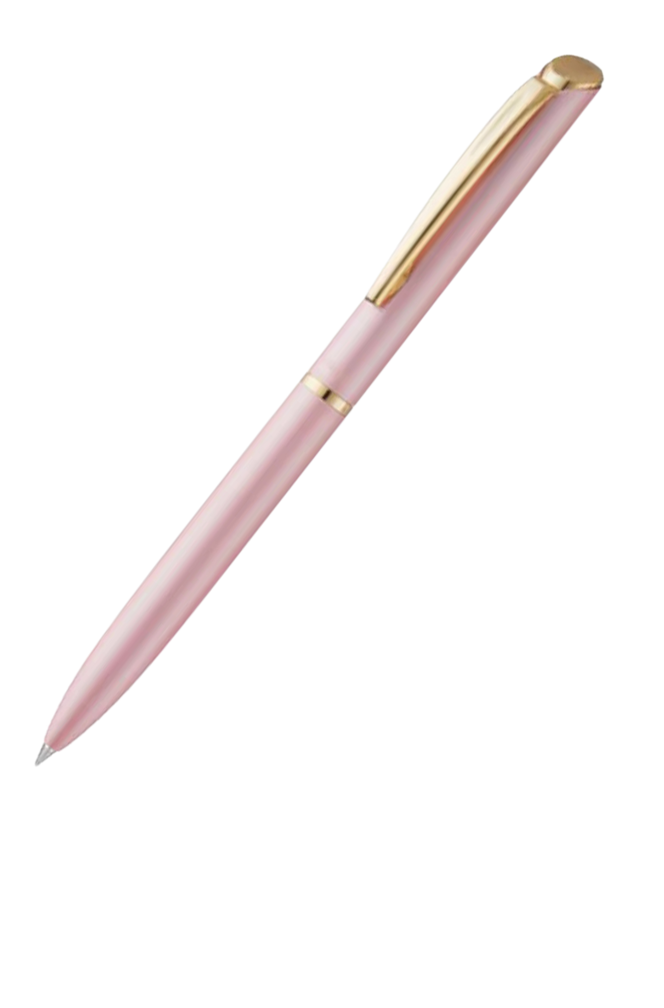 BL2007PP-1
